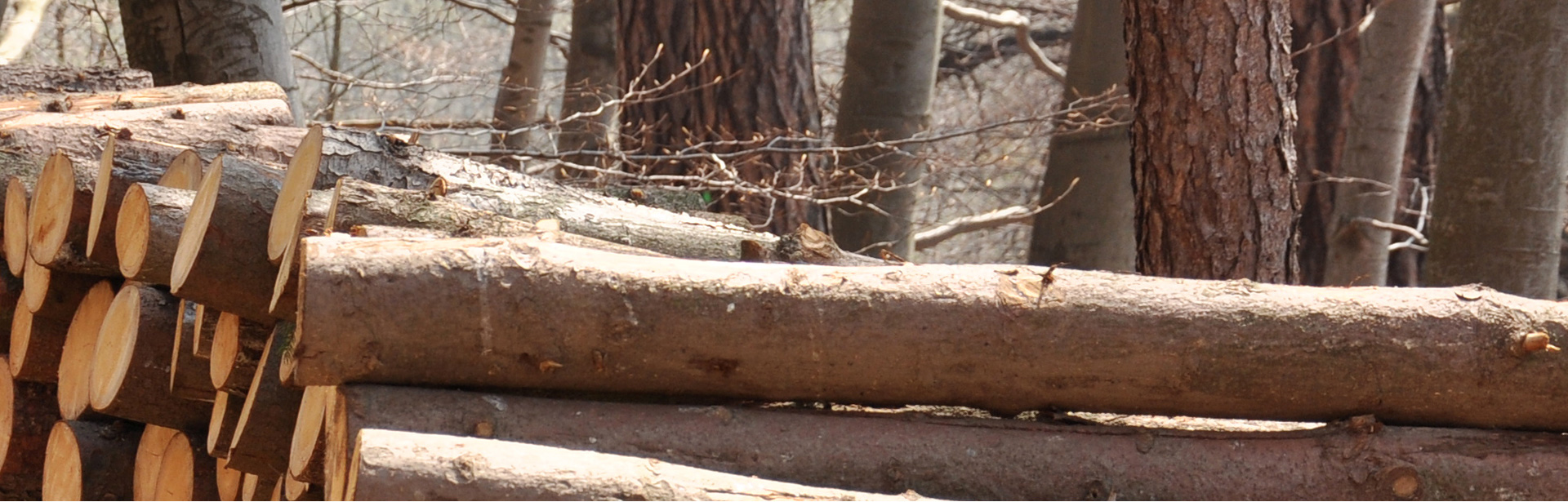 Hindustan Timber Work Best Timber Shop In Patna